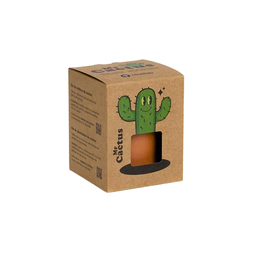 The Cactus: Mr Cactus - Resetea