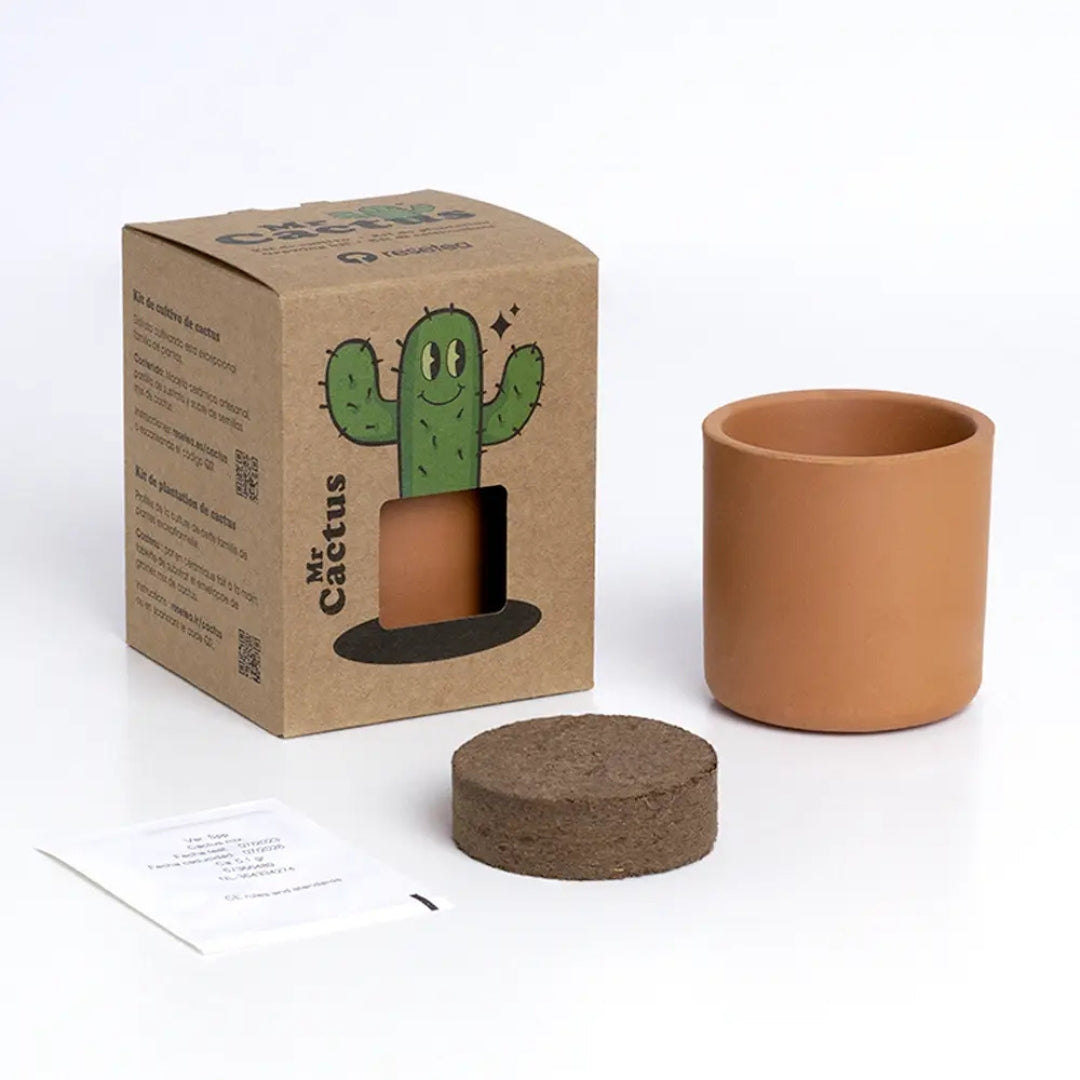 The Cactus: Mr Cactus - Resetea