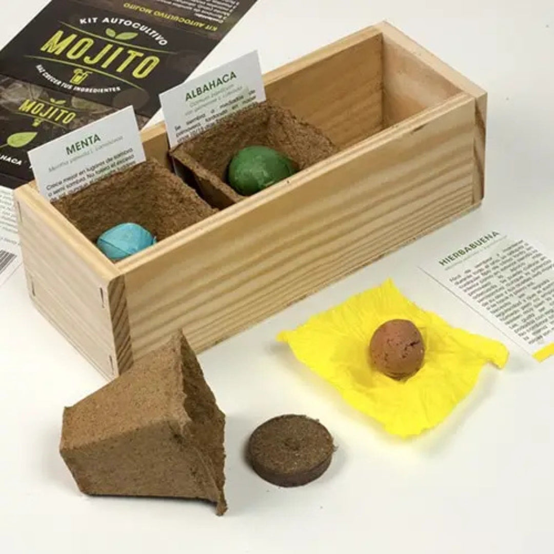 Kit autocultivo Mojito - Resetea