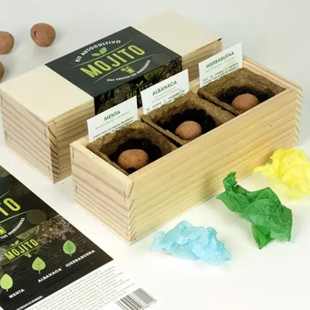 Kit autocultivo Mojito - Resetea