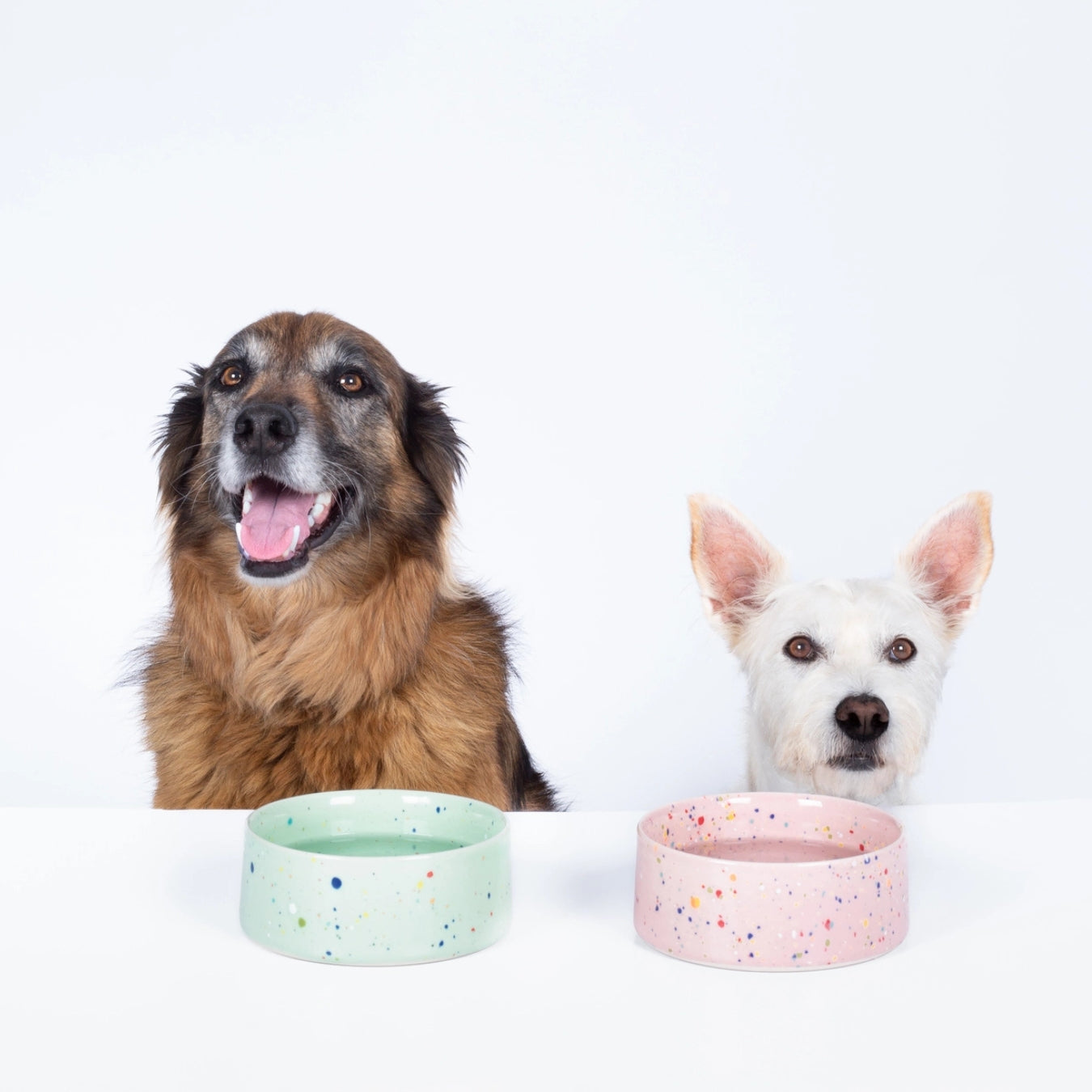 Juego de 2 cuencos para mascotas New Party, 16,5 cm, blanco y verde - Egg Back Home