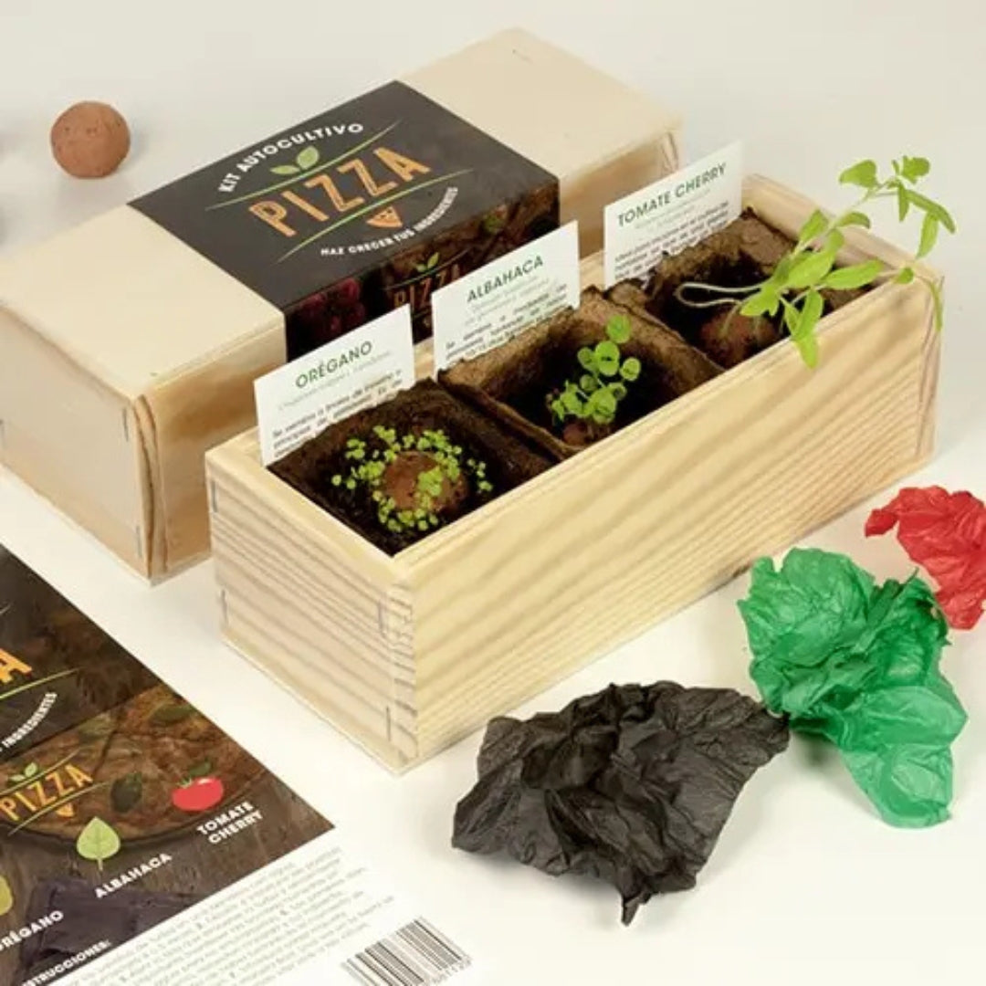 Kit autocultivo Pizza - Resetea