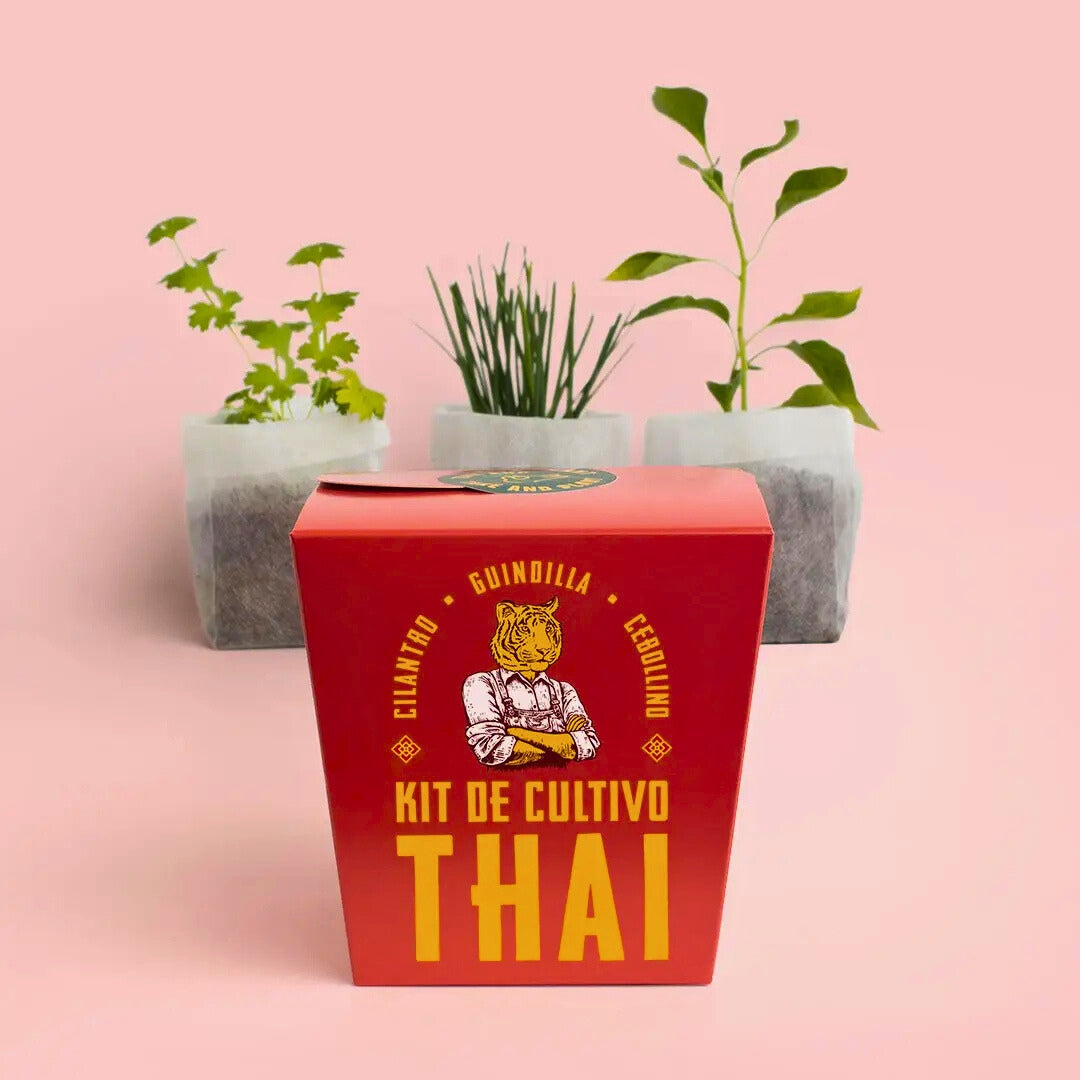 Kit Thai - Resetea