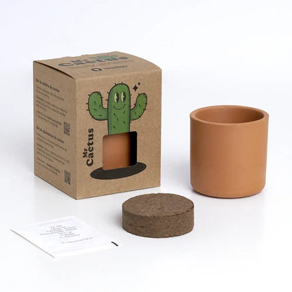 The Cactus: Mr. Cactus 🌵 – Tu Mini Oasis en Casa