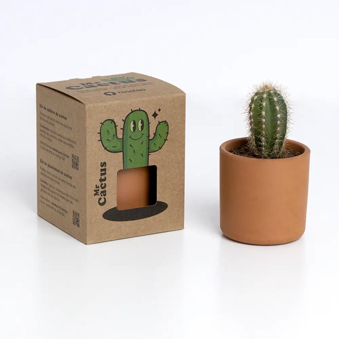 The Cactus: Mr. Cactus 🌵 – Tu Mini Oasis en Casa