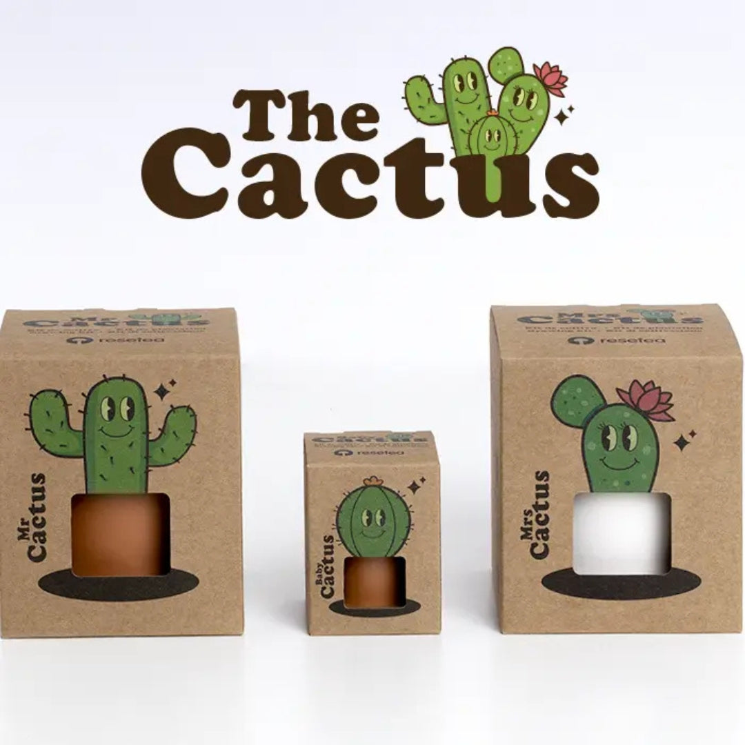 The Cactus: Mr. Cactus 🌵 – Tu Mini Oasis en Casa