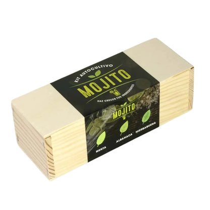 Kit Autocultivo Mojito: Sabor Cubano desde tu Hogar 🌿